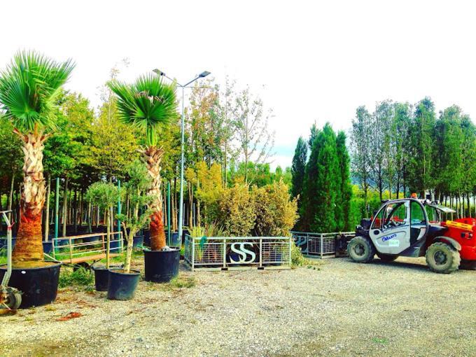 Serbesler Botanik, No 1 Comfortable Villa Sakarya  Exterior photo